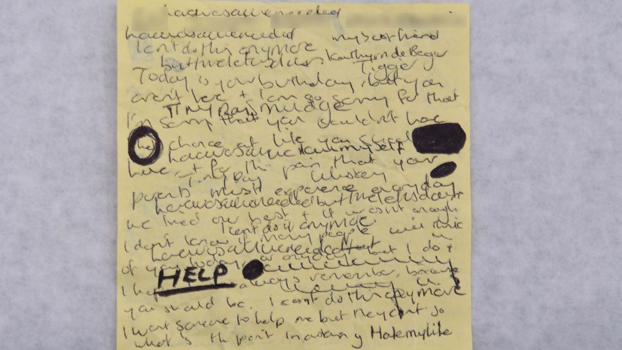 The evidence seen during Lucy Letby's murder trial, from handwritten(02)