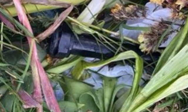 Northern Ireland: Four suspected pipe bombs found in cemetery in Creggan - Vimarsana News
