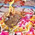Hintli çiftin 'ev yapımı giyotin' ile görünürdeki kurban töreninde başlarını kestikleri bildirildi | Dünya Haberleri