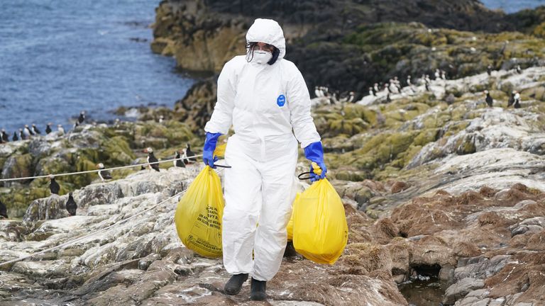 EMBARGOED TO 0001 WEDNESDAY DECEMBER 28 File photo dated 20/07/22 of a National Trust ranger clearing dead birds from bird flu at Staple Island, one of the Outer Group of the Farne Islands, off the coast of Northumberland, as this year&#39;s "litany" of weather extremes, including storms, drought and record-breaking heat, is set to become the new norm, the National Trust has warned.