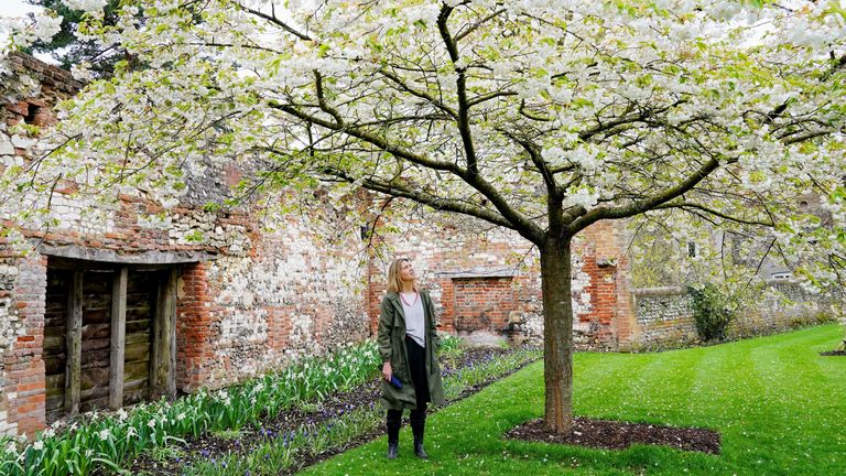 The Tudor gardens at The National Trust&#39;s Greys Court in Henley-on-Thames