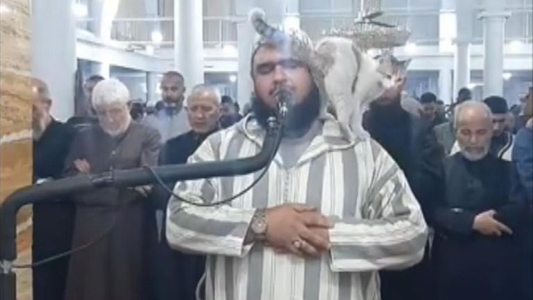 Cat joins Ramadan worshippers in Algeria 