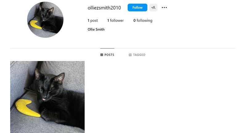 Fictional 13-year-old &#39;Ollie Smith&#39; had a profile on Instagram, as well as on TikTok and YouTube Shorts.