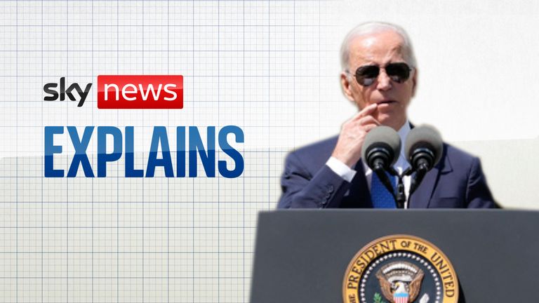 Sky News explains Joe Biden&#39;s bid for a second term