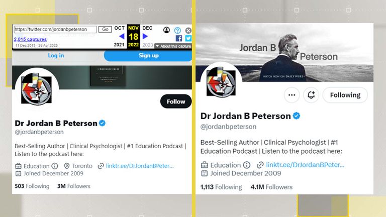 Dr Peterson&#39;s follower list has grown from 3m on 18 November to 4.1m today. Pic: Twitter