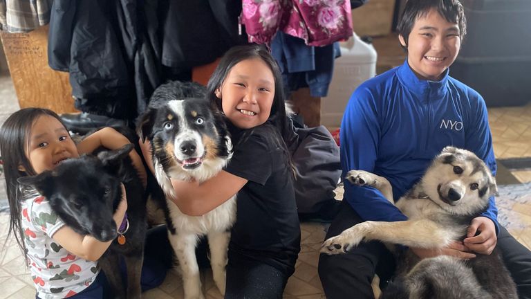 In this photo provided by Mandy Iworrigan is Nanuq, in the middle with Brooklyn Faith, after the 1-year-old Australian shepherd was returned to Gambell, Alaska, on April 6, 2023, after it disappeared for a month and walked on the Bering Sea ice 150 miles to Wales, Alaska. On the left is Zoey with Starlight and on the right is Ty with Kujo. (Mandy Iworrigan via AP)