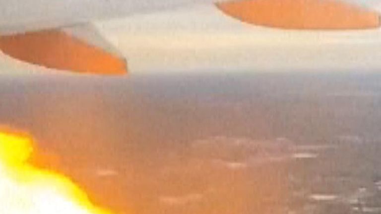 Flames shoot from a plane&#39;s engine after a bird strike