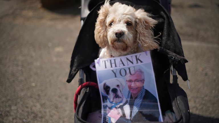 A dog with its owner waits outside the Walnut Tree Pub in Aldington, Kent, ahead of the cortege for Paul O&#39;Grady  