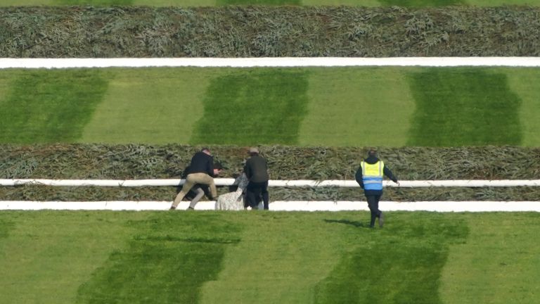 Animal Rising activists attempting to invade the race course ahead of the Randox Grand National Handicap Chase