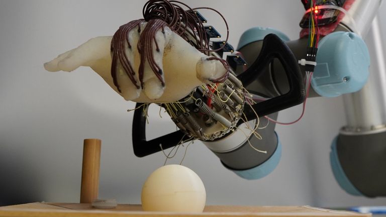 A robotic hand approaches a 3D-printed ball. Pic: University of Cambridge