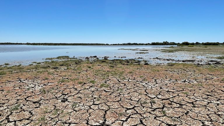 Sevilla heatwave/Parched land: Donana Wetland 