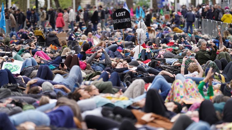 Activists staged a &#39;die-in&#39; on The Mall