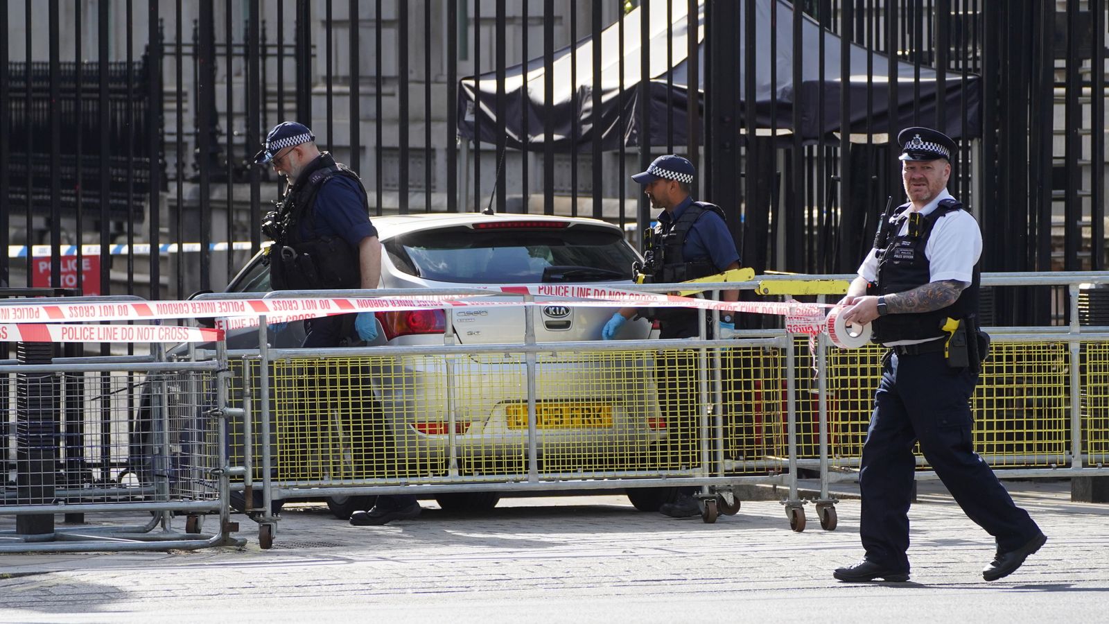 Police with Tasers and 'rifles' confront man after car hits Downing Street gates with 'almighty smash', say witnesses