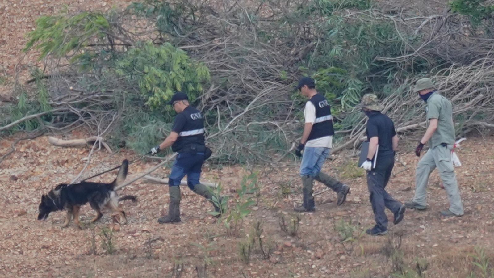 Madeleine McCann police use sniffer dogs to comb wooded area during reservoir search