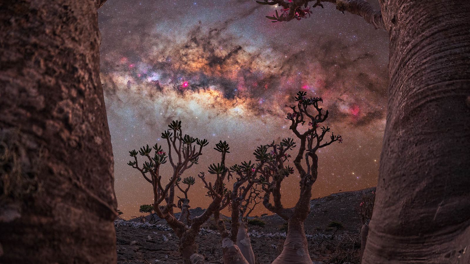See the spectacular winning pictures from the 2023 Milky Way Photographer Of The Year award