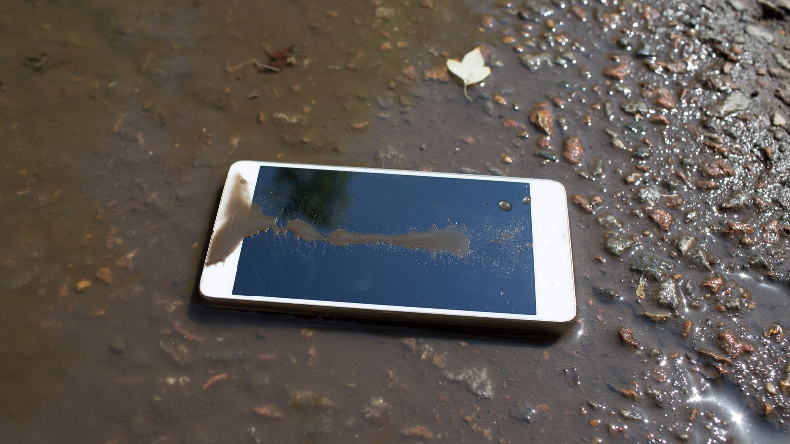 Dos millones de litros de agua drenados de un embalse en busca de un teléfono que dejó caer un funcionario indio que se tomaba una selfie |  noticias del mundo