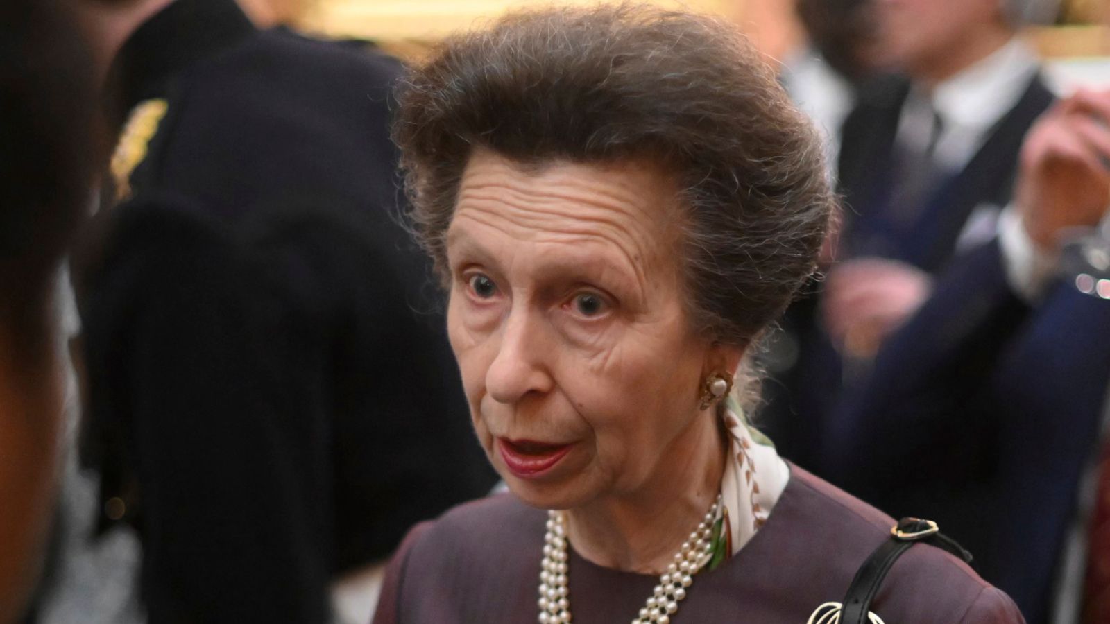 Princess Anne says slim monarchy ‘doesn’t seem like a good idea’ UK