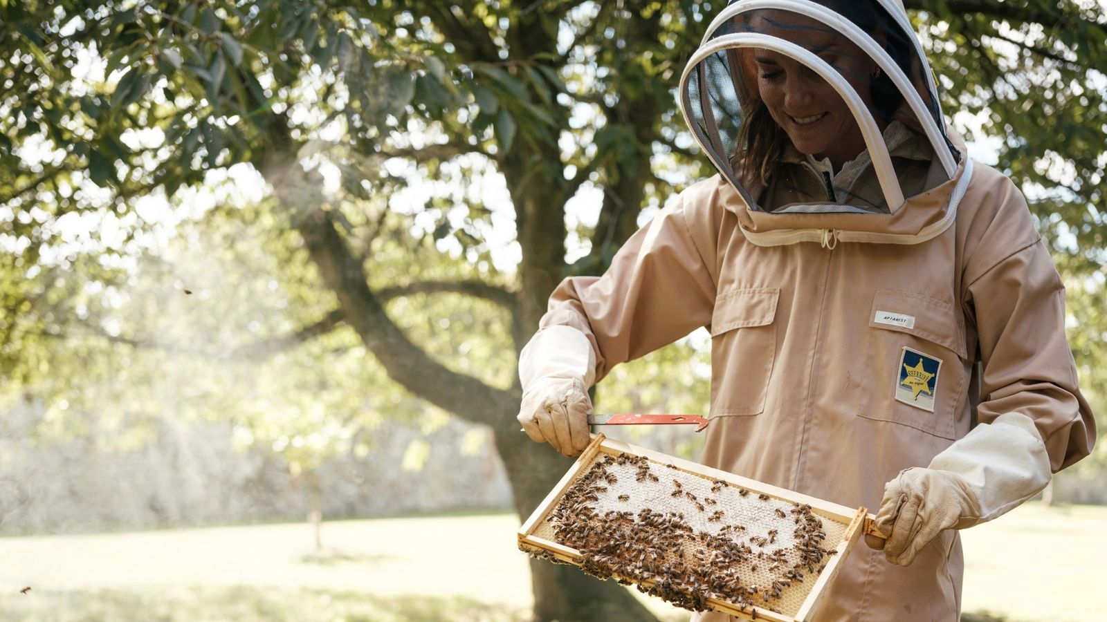 Princess of Wales mengenakan setelan pengawal untuk merawat sarang lebah pada Hari Lebah Sedunia |  Berita Inggris