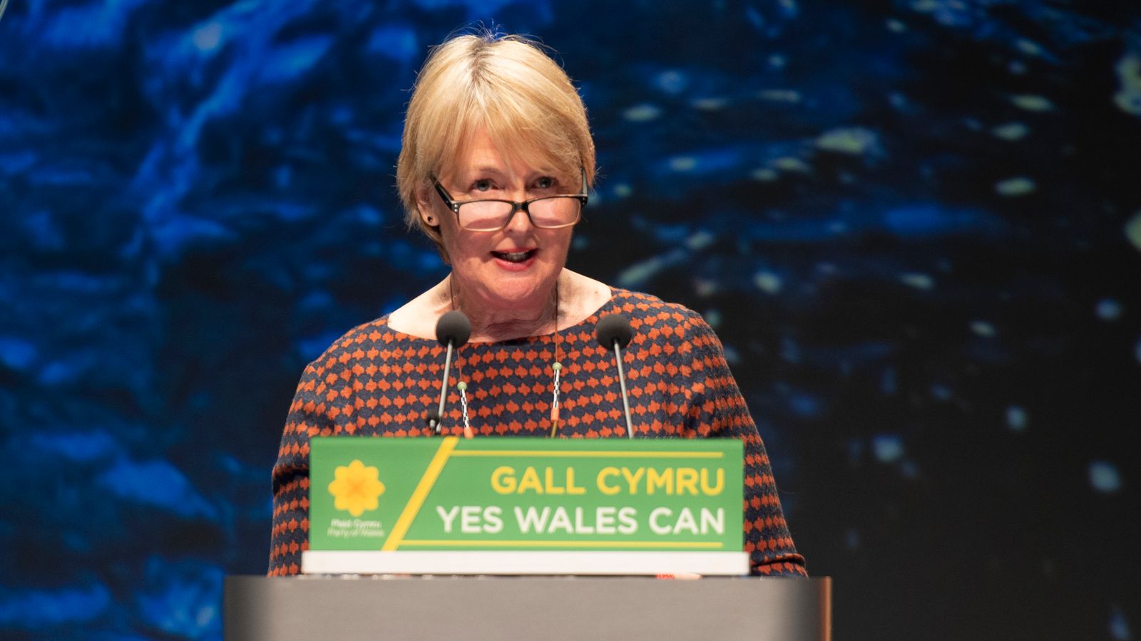 Plaid Cymru: The Contenders Who Could Enter Leadership Election To ...