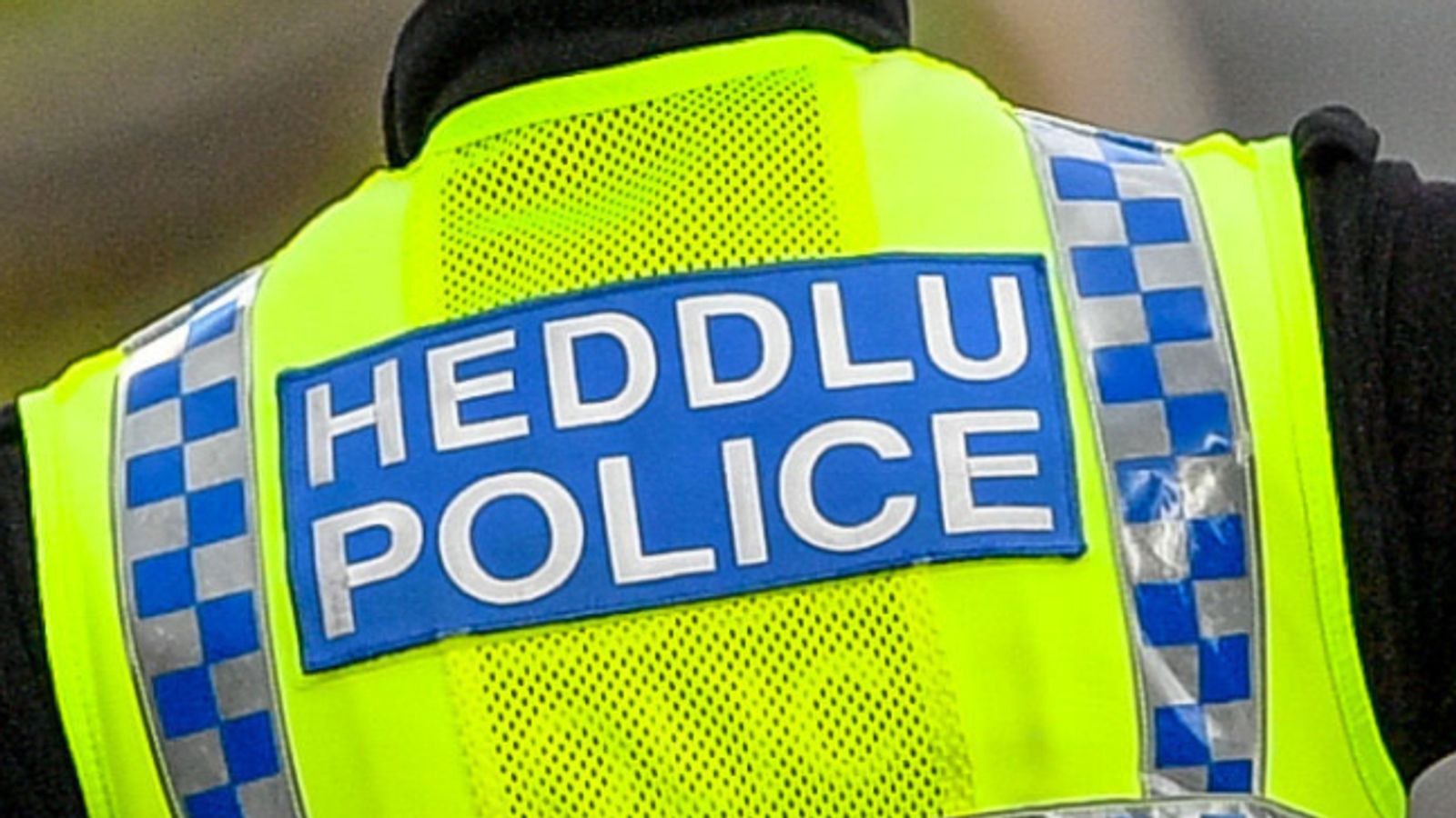 Newport: Two arrests after video appears to show assault on pupil