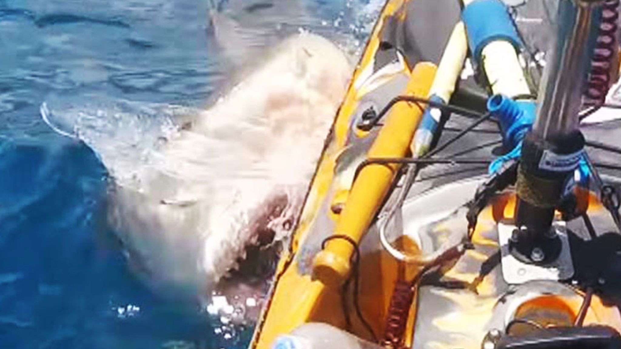 Shark attacks fisherman on kayak off Hawaii coast, US News