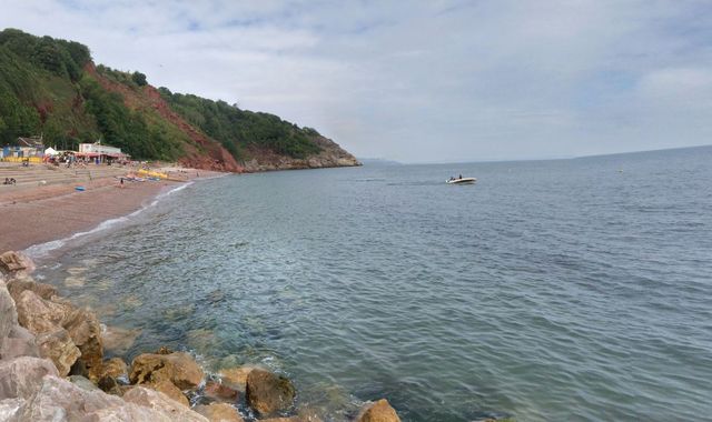 Two men die after being pulled from sea off Devon coast - Vimarsana News