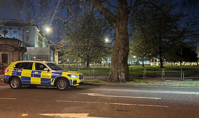 Man arrested outside Buckingham Palace now detained under Mental Health Act - Vimarsana News