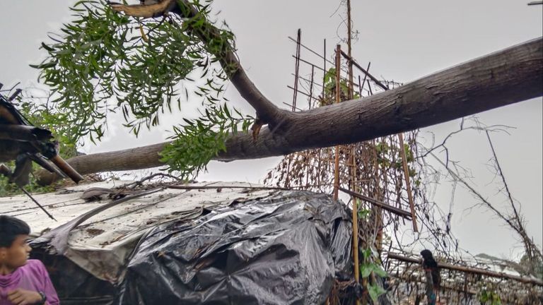 Uprooted trees damaging shelters  in Cox&#39;s Bazar