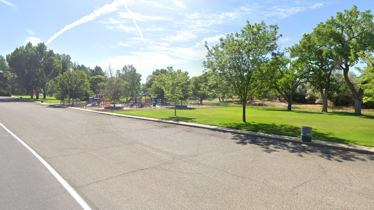 The Brookside Park area of Farmington, near to where the shooting took place Pic: Google Street View