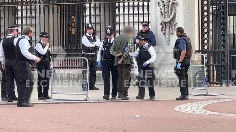 A man has been arrested outside Buckingham Palace after throwing what is suspected to be shotgun cartridges into palace grounds, police have said.