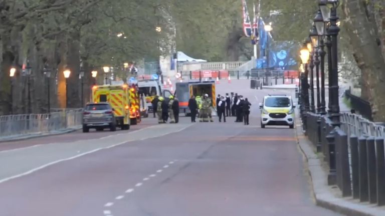 Man arrested after throwing suspected shotgun cartridges into Buckingham Palace grounds
