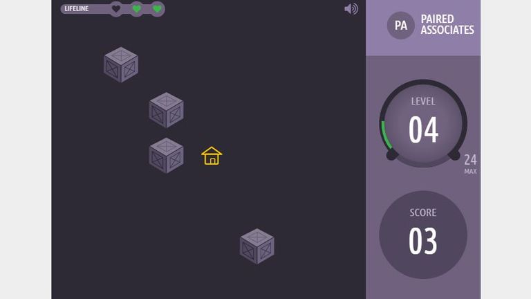 Another test uncovers objects hidden by boxes for a millisecond then asks participants to locate them in sequences of up to 24 objects.