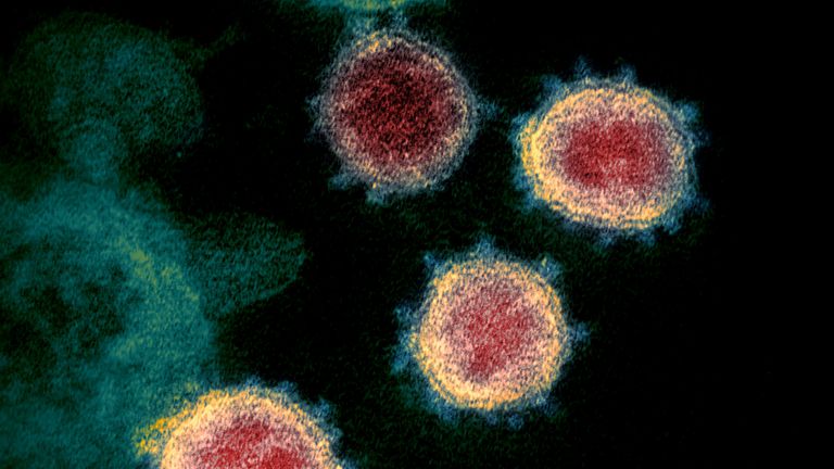 Coronavirus. Pic: NIAID-RML via Reuters