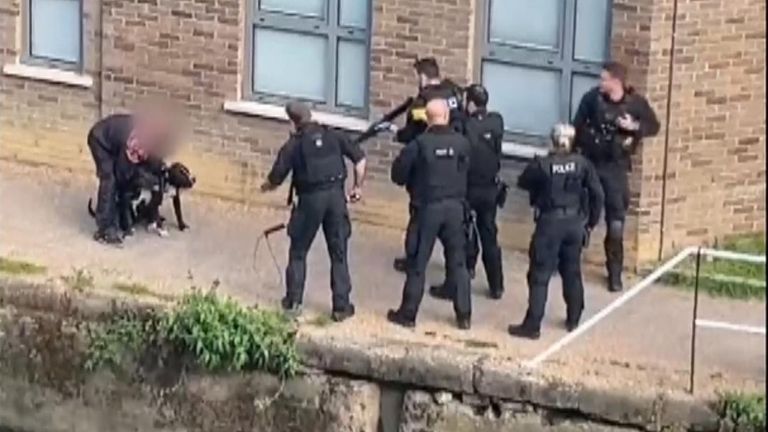 Two dogs were killed and a man Tasered in Limehouse Cut, east London