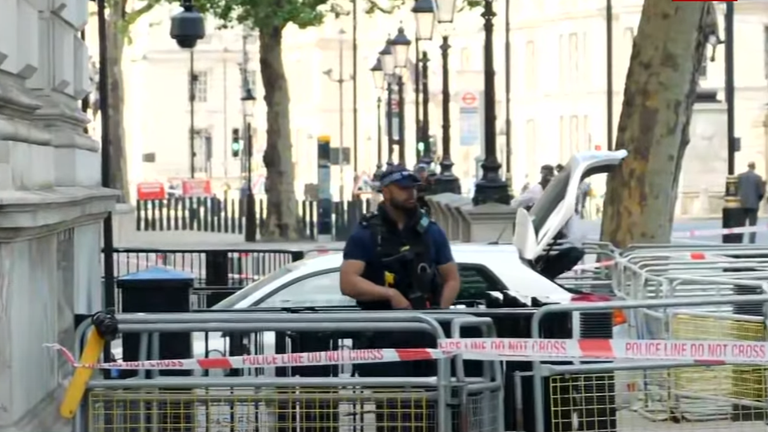  A car has crashed into the gates of Downing Street