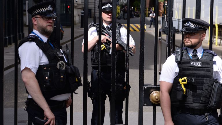 The Downing Street gates are constantly manned by armed police
