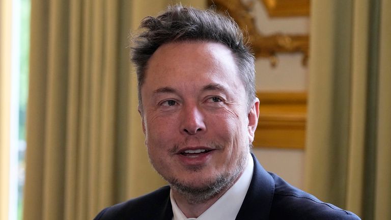 Elon Musk. Pic: AP