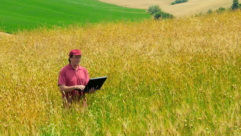 Farmer using internet in rural area
