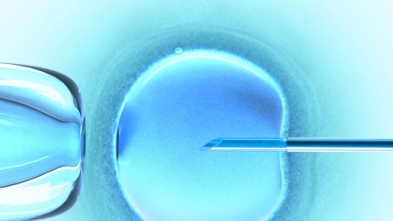 test tube baby images