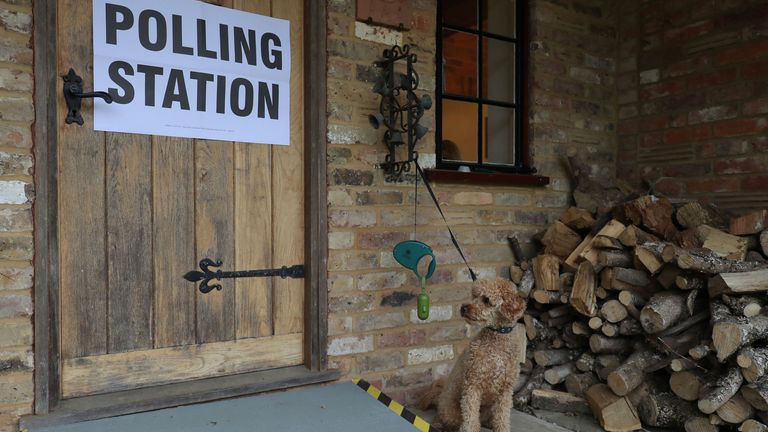 Dog at a polling station in Hampshire