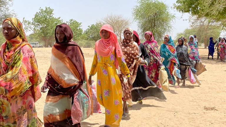 Around 90,000 people have fled Sudan&#39;s West Darfur state into eastern Chad 