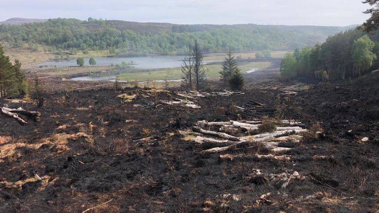 Wildfire near Cannich in the Scottish Highlands. Pic: Balintore Fire Station/SFRS