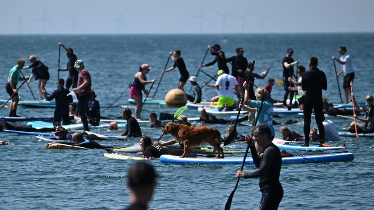 Surfers take part in a mass protest, organised by Ocean Charity Surfers, to demonstrate against the continued dumping of untreated sewage by water companies off the coast of Brighton, Britain, May 20, 2023. REUTERS/Dylan Martinez