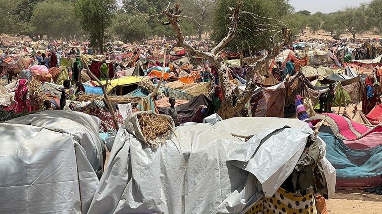 Around 90,000 people have fled Sudan&#39;s West Darfur state into eastern Chad 