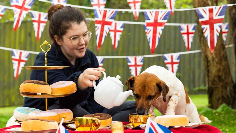 Frankie, a Jack Russell Terrier cross, is served water at a coronation party at The Rescue Dog Hotel in Cardiff by a member of shelter staff.