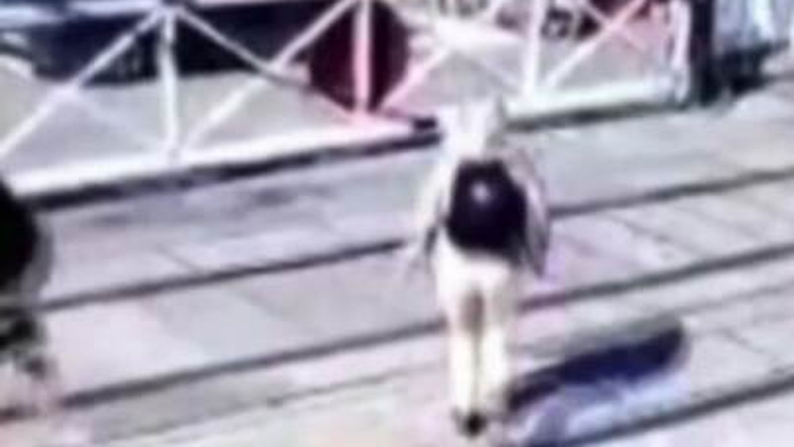 CCTV footage captures pedestrians in near miss with train at level ...