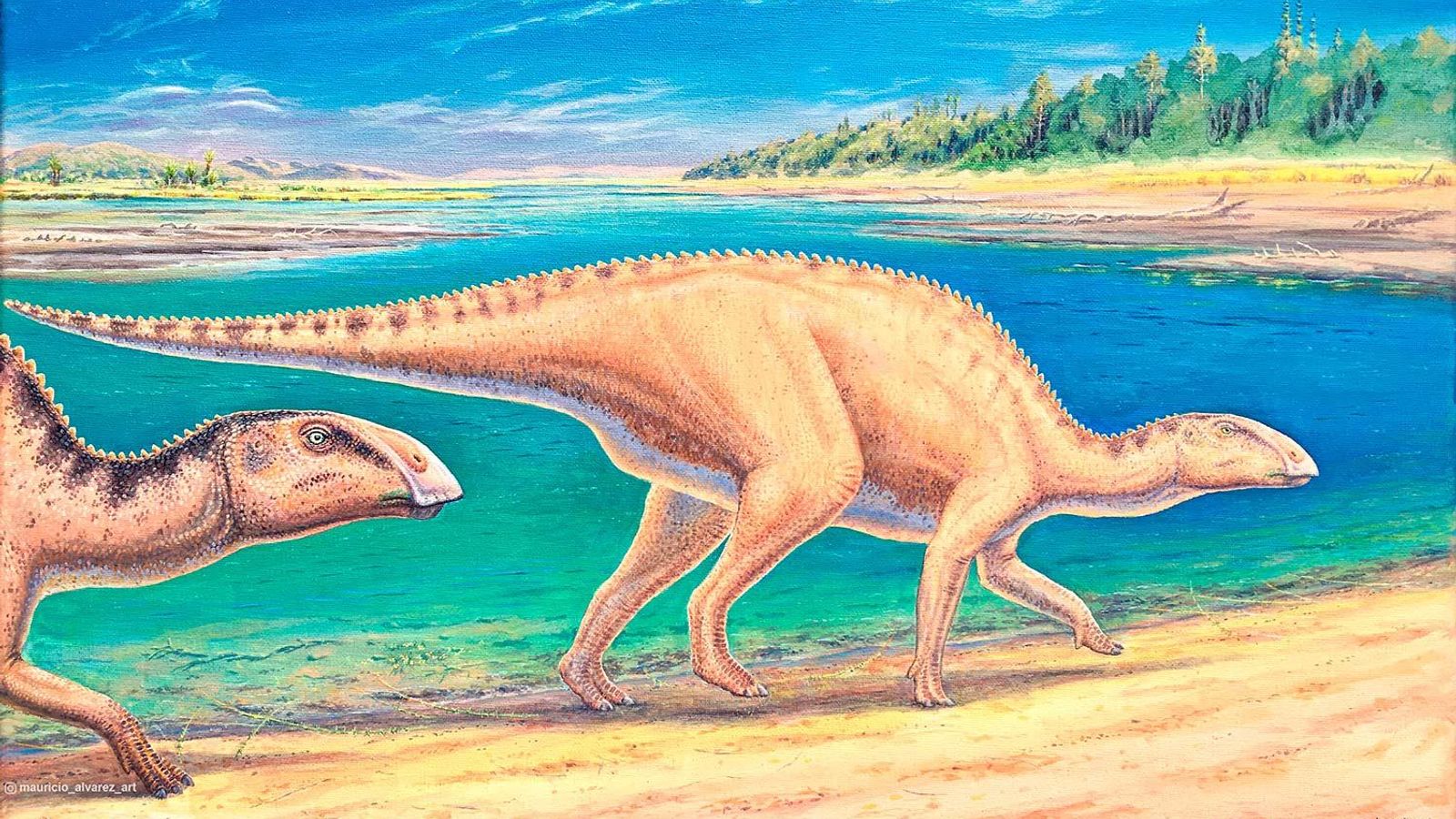 Never Seen Herbivore! This Dinosaur Roamed Earth 72 Million Years Ago ...