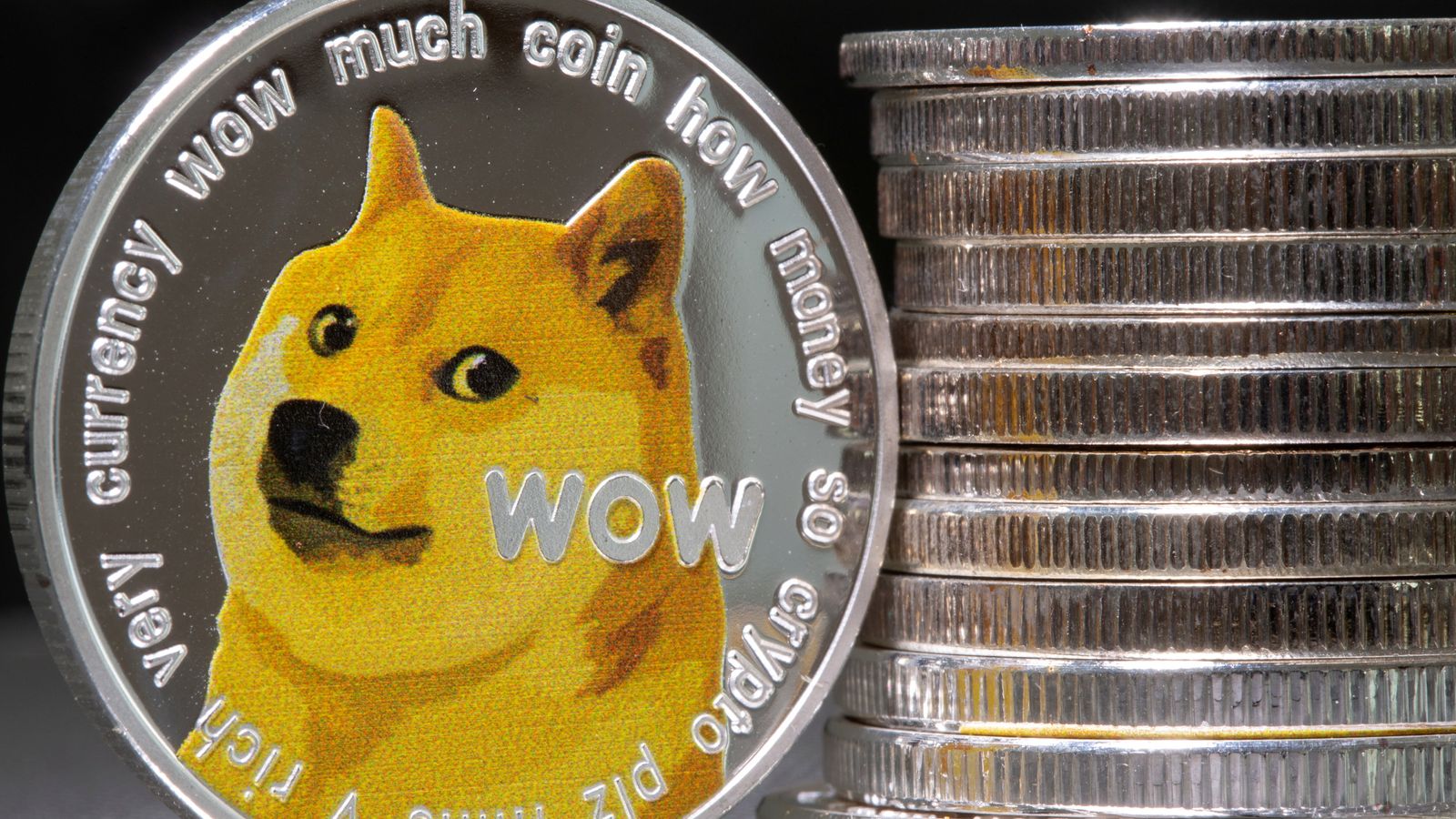 Kabosu dies: Shiba inu which inspired the 'doge' meme and became face of  Dogecoin has died | World News | Sky News