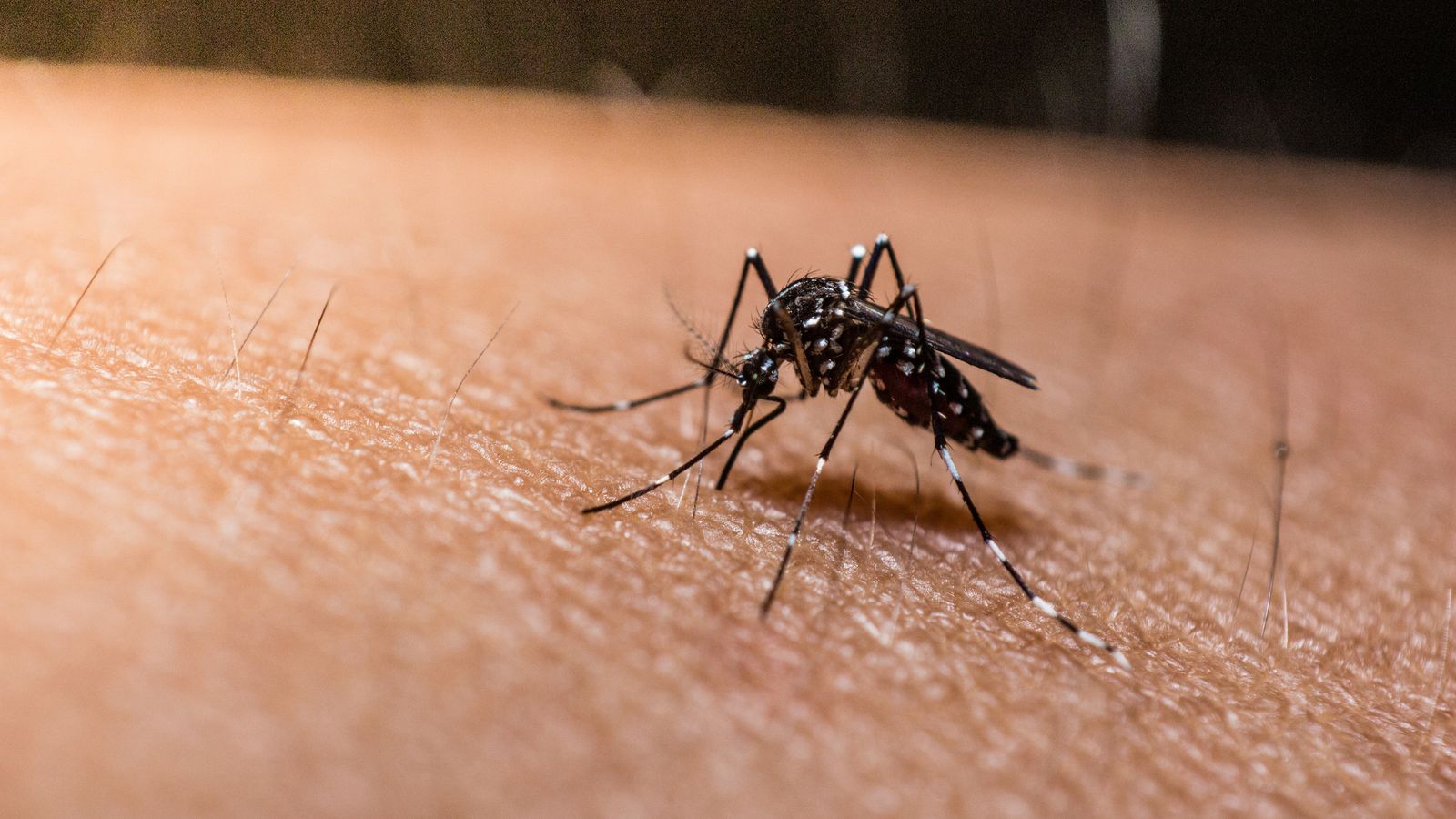 Това е едва втората ваксина одобрена за превенция на малария