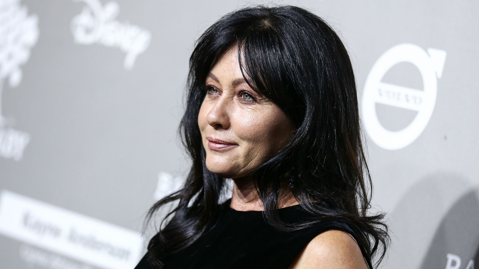 Shannen Doherty, Beverly Hills 90210 star, reveals cancer has spread to her brain 